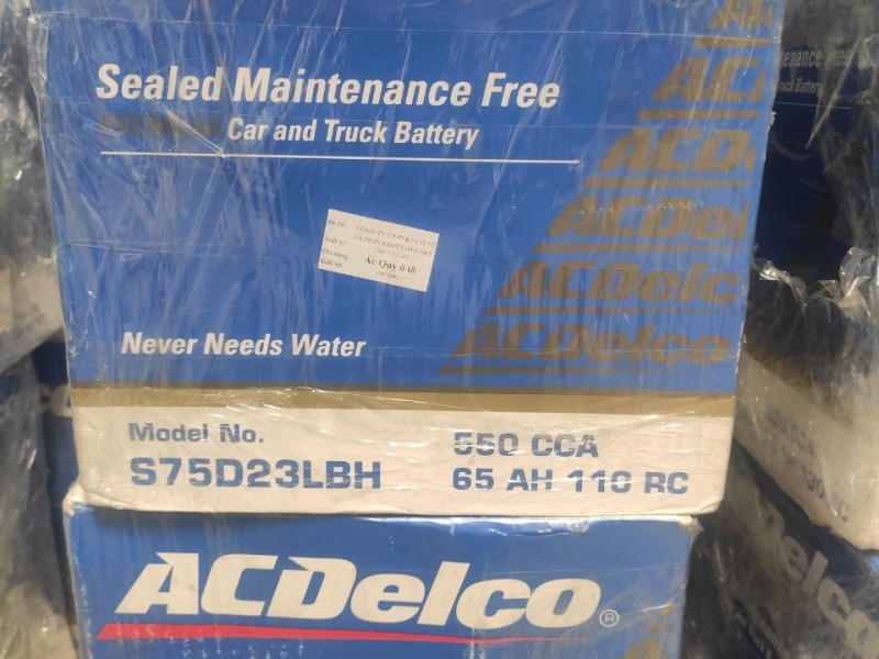 Ắc Quy Acdelco